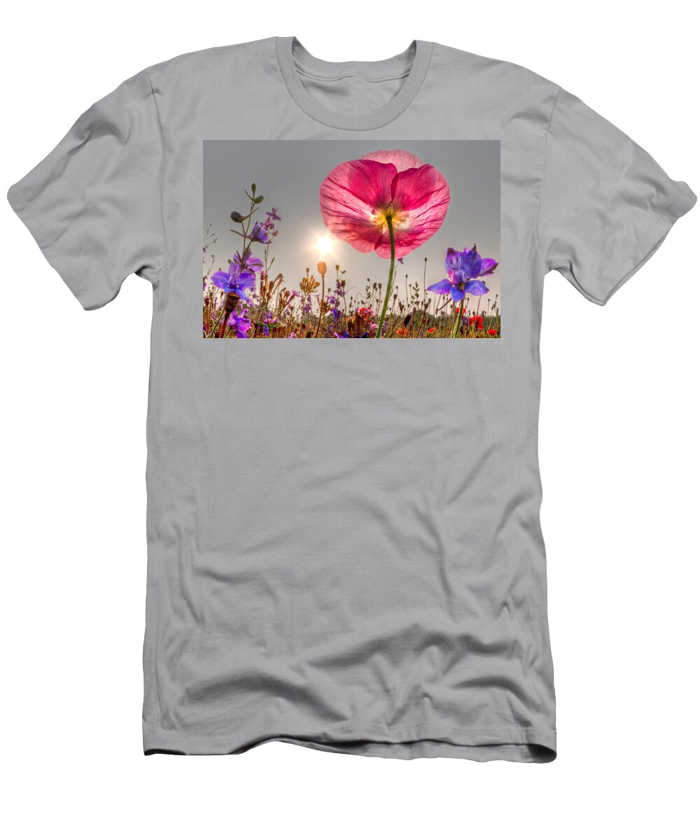 Fog T-Shirt featuring the photograph Morning Pink by Debra and Dave Vanderlaan