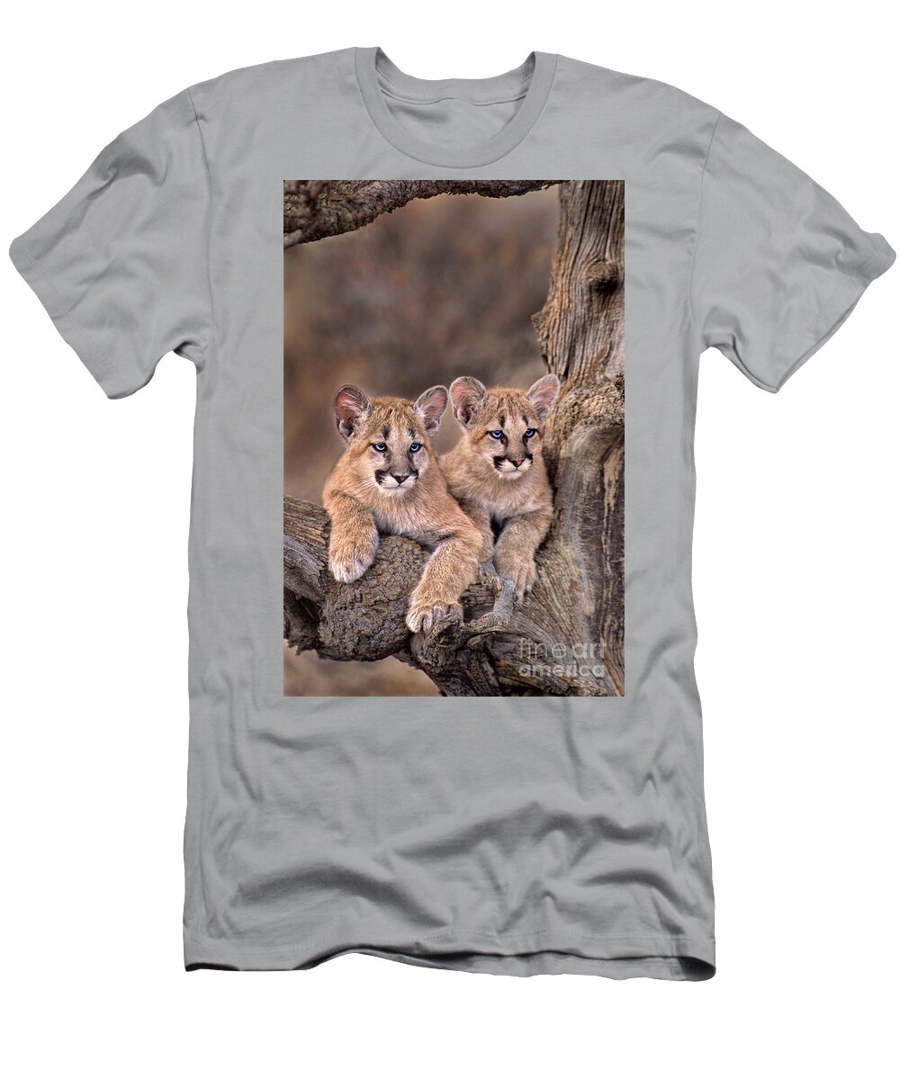 Dave Welling T-Shirt featuring the photograph Mountain Lion Cubs Felis Concolor Captive by Dave Welling