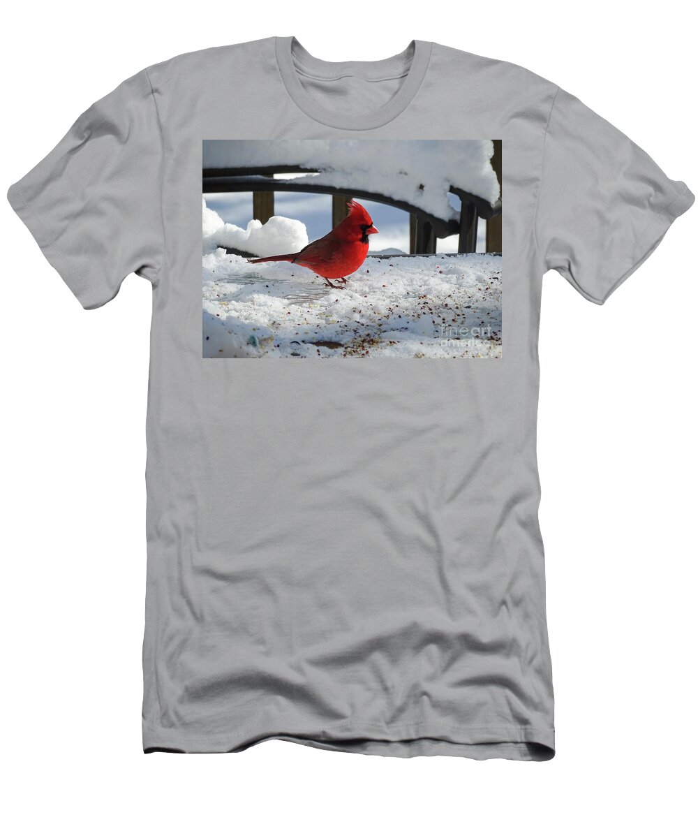 Birds T-Shirt featuring the photograph Mr. Cardinal by Melissa Messick