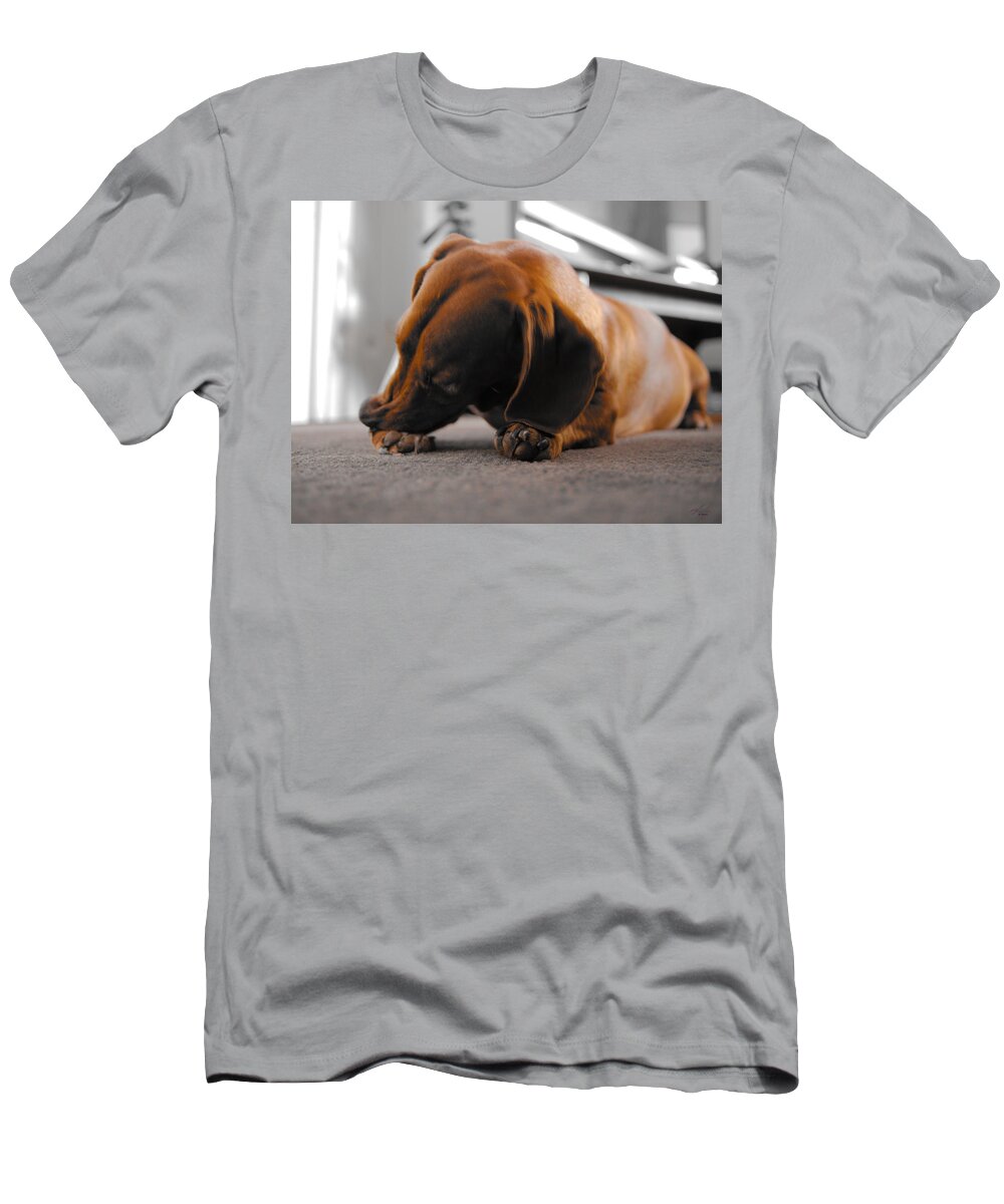 Portrait T-Shirt featuring the photograph Mr Fritz biting 2 by Michael Blaine