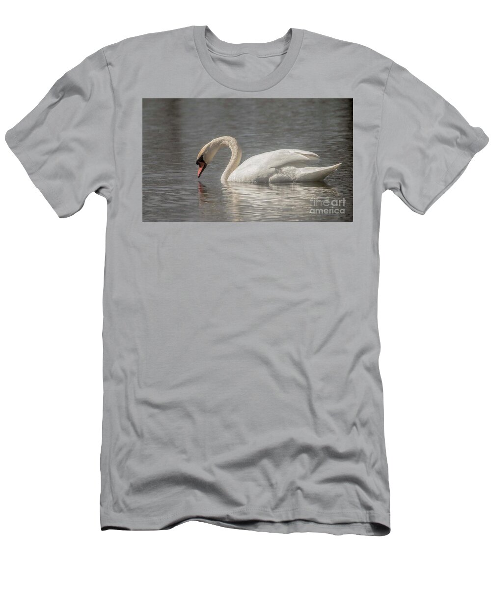 Mute Swan T-Shirt featuring the photograph Mute Swan by David Bearden