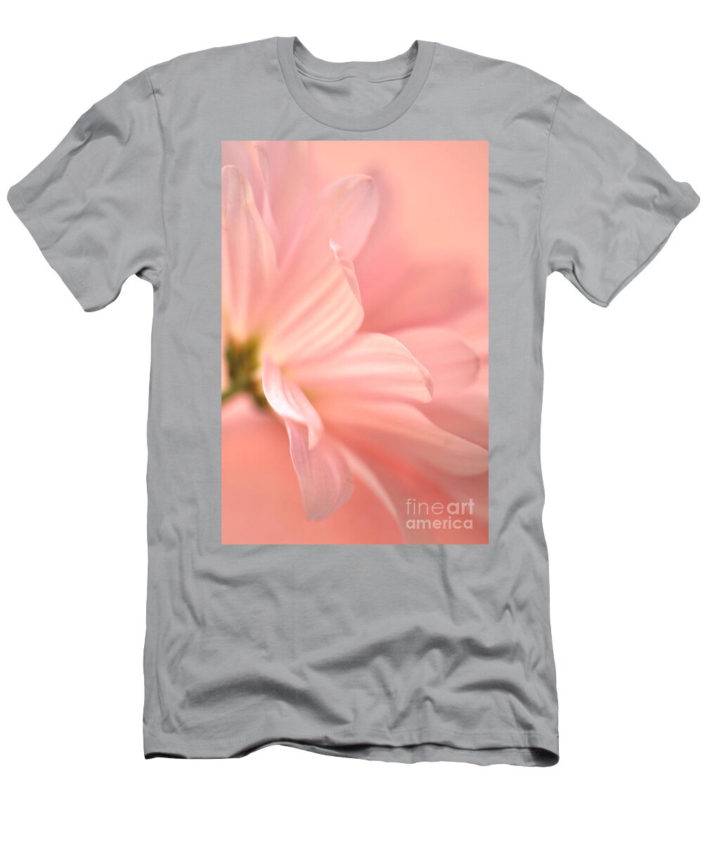 Soft Pink Daisy T-Shirt featuring the photograph Muted Splendor by Deb Halloran