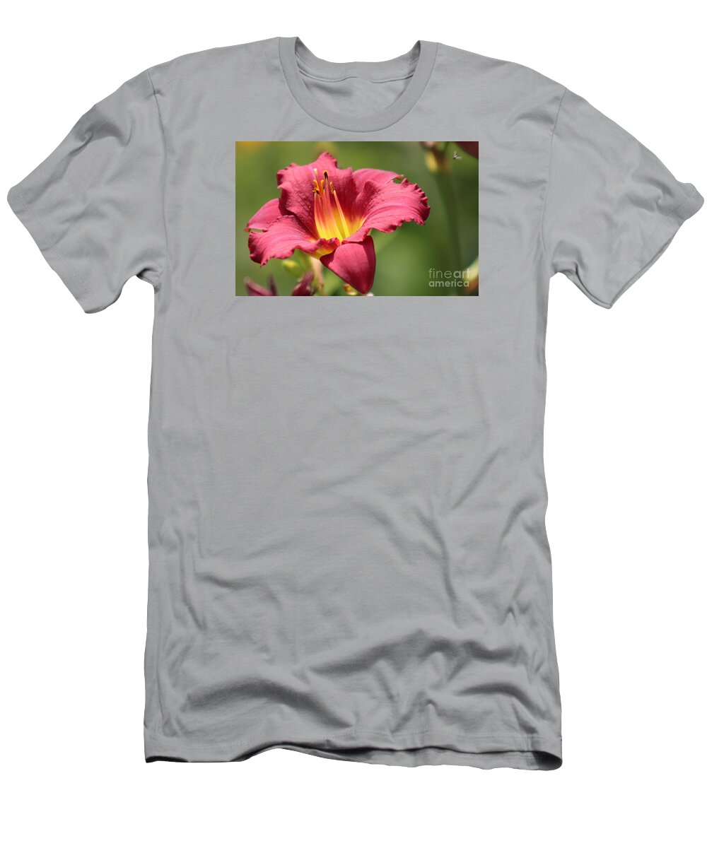 Yellow T-Shirt featuring the photograph Nature's Beauty 41 by Deena Withycombe