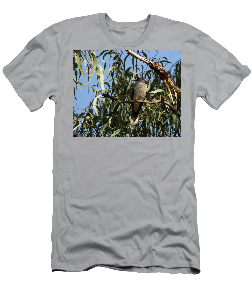 Australia T-Shirt featuring the photograph Noisy Miner Bird 2 - Canberra - Australia by Steven Ralser