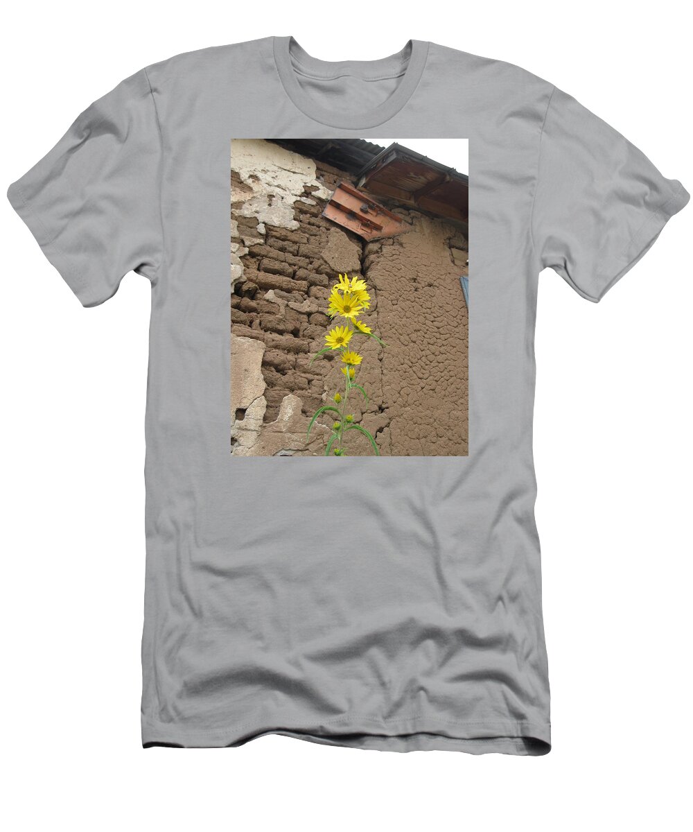  T-Shirt featuring the photograph Old and New by Ron Monsour