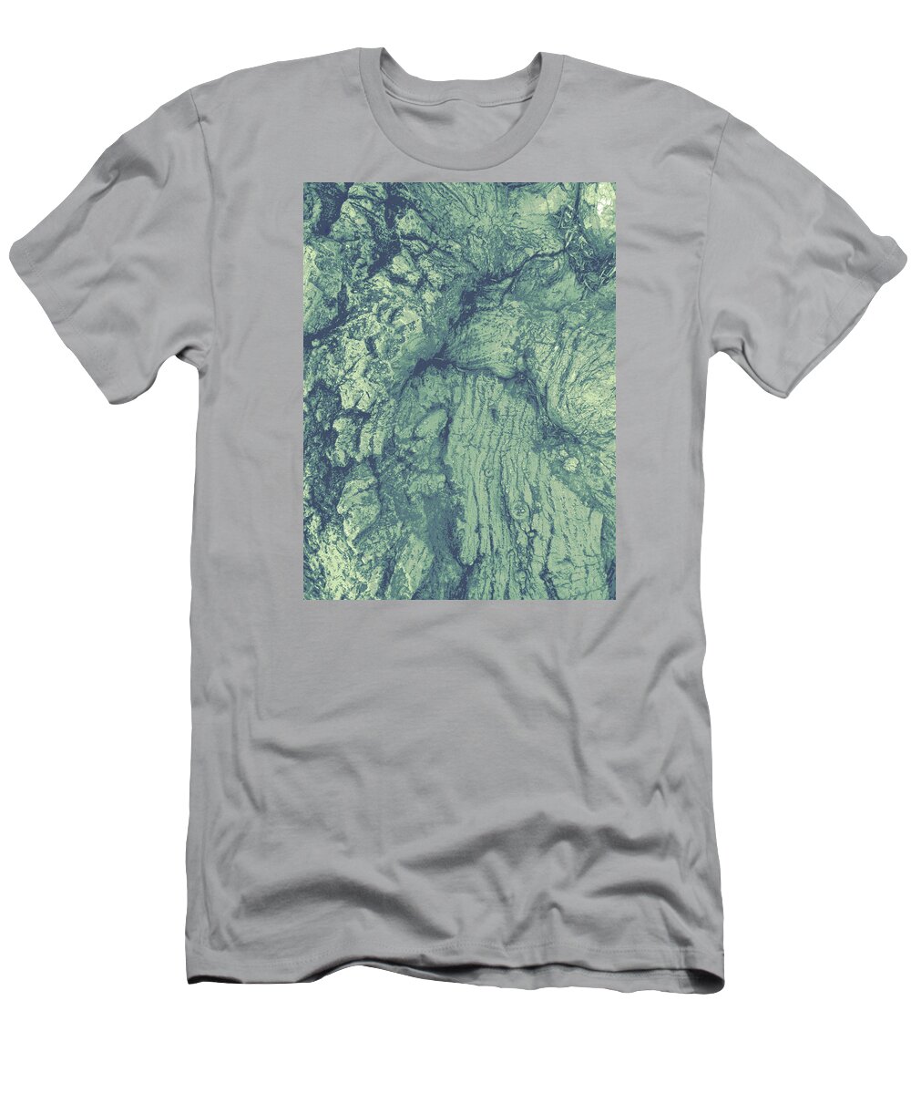 Tree T-Shirt featuring the photograph Old Man Tree by Alison Stein