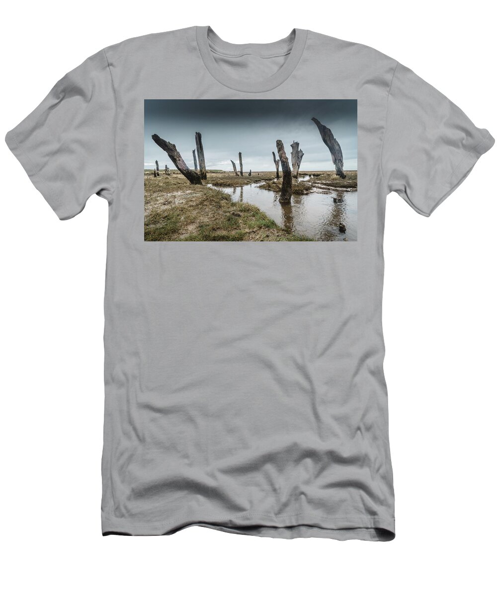 Ancient T-Shirt featuring the photograph Old Posts by James Billings