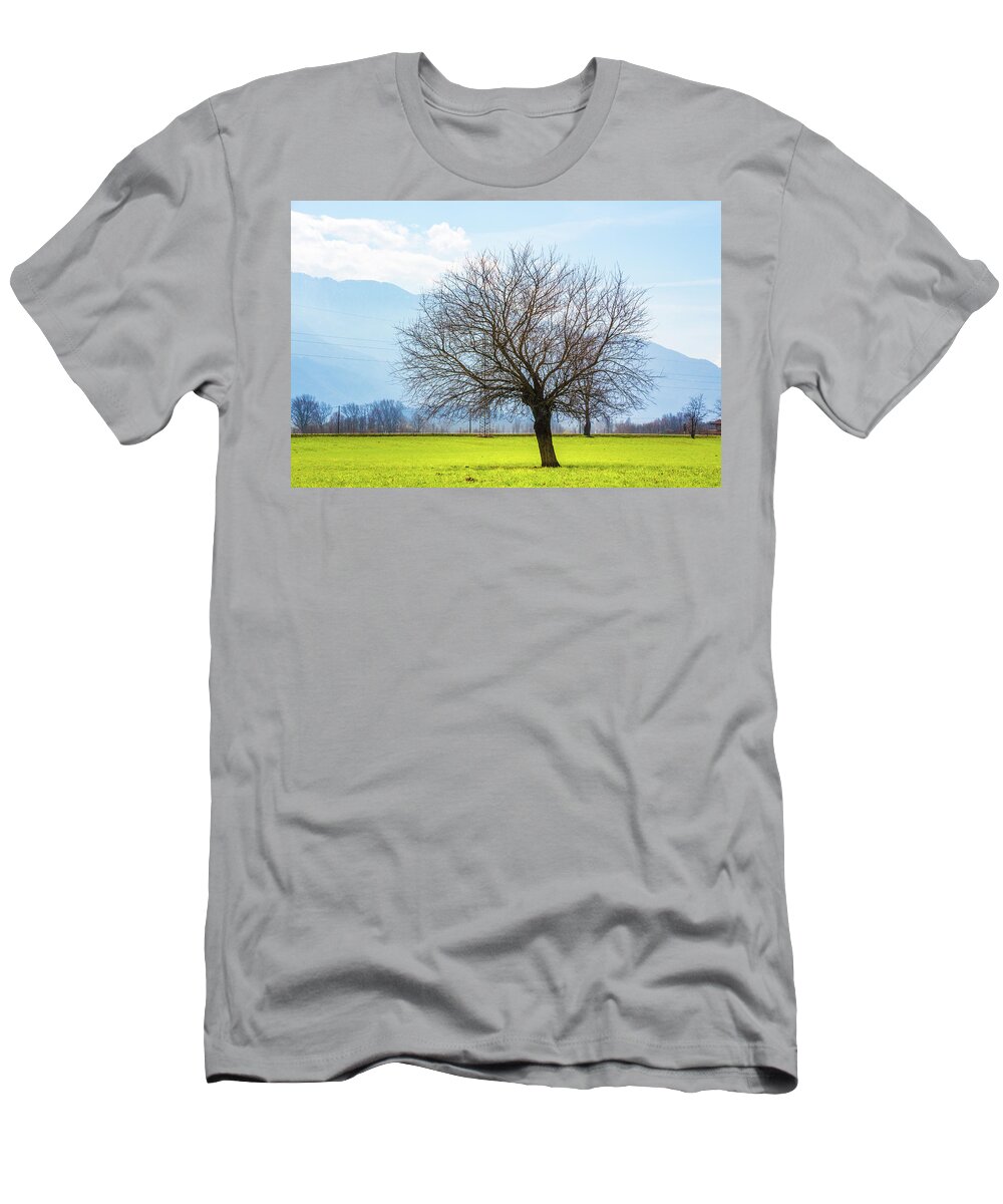 Dubino T-Shirt featuring the photograph Old Tree by Pavel Melnikov