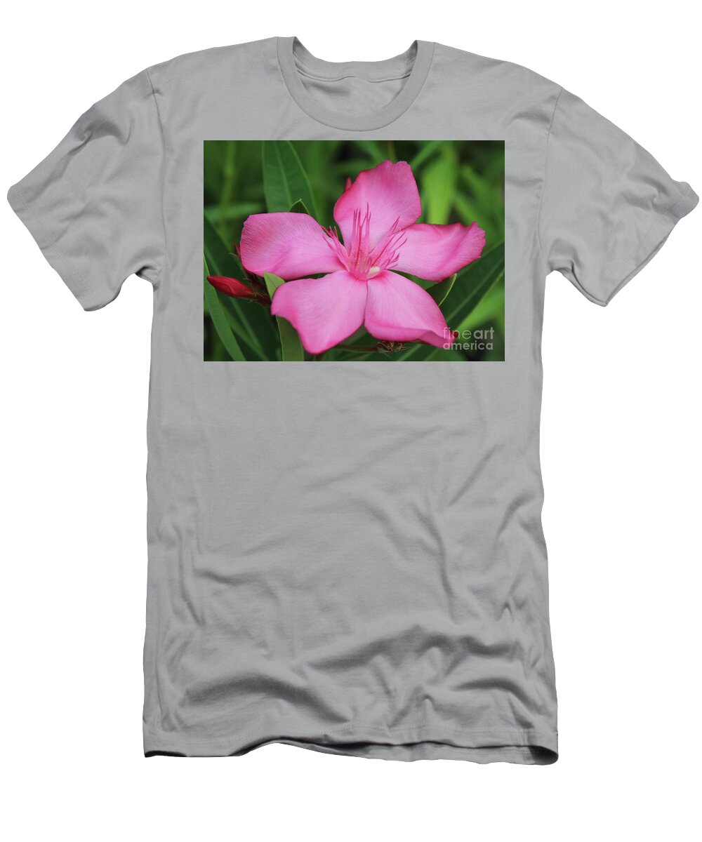 Oleande T-Shirt featuring the photograph Oleander Professor Parlatore 2 by Wilhelm Hufnagl