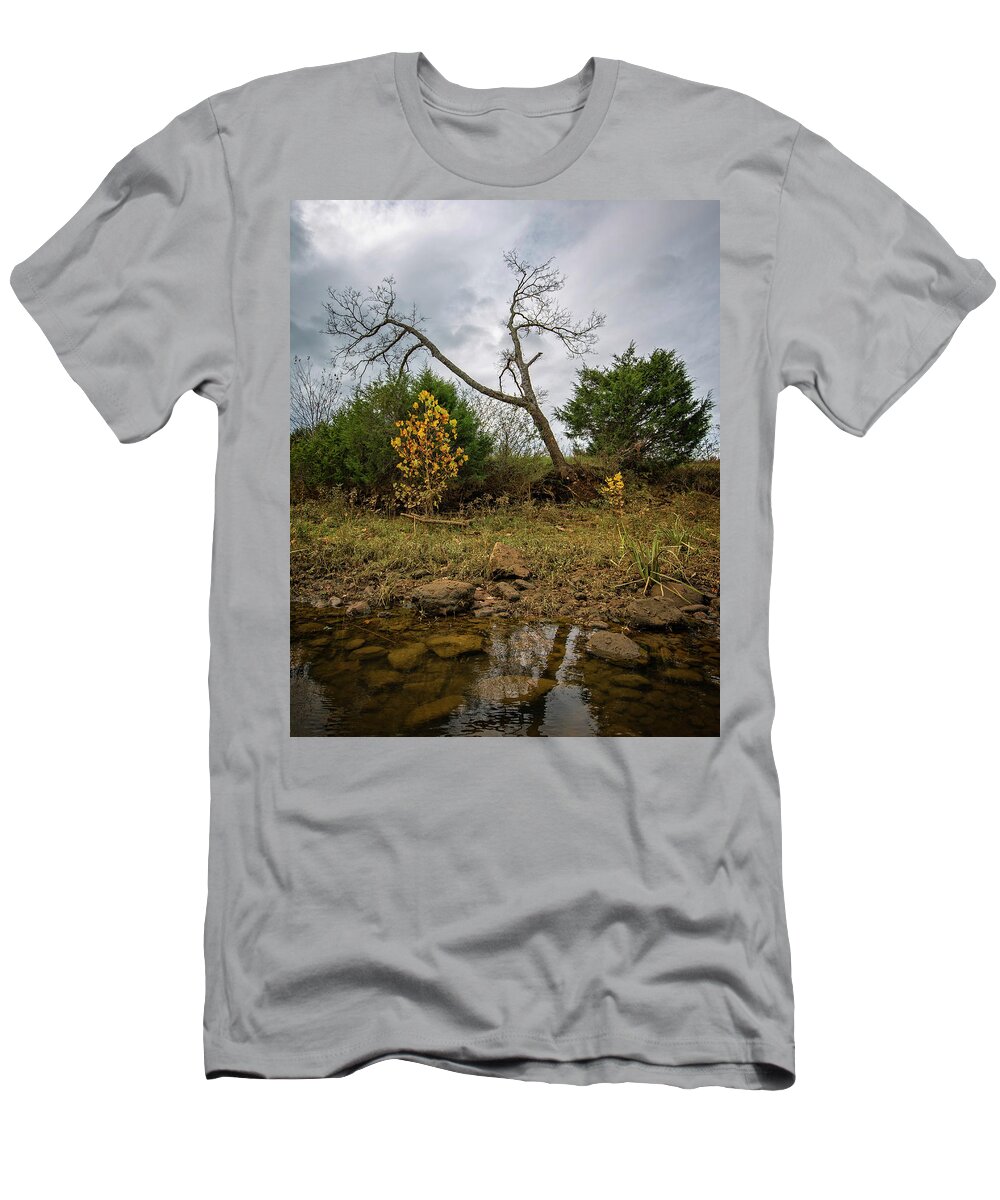 Dark T-Shirt featuring the photograph Ominous by Alan Raasch