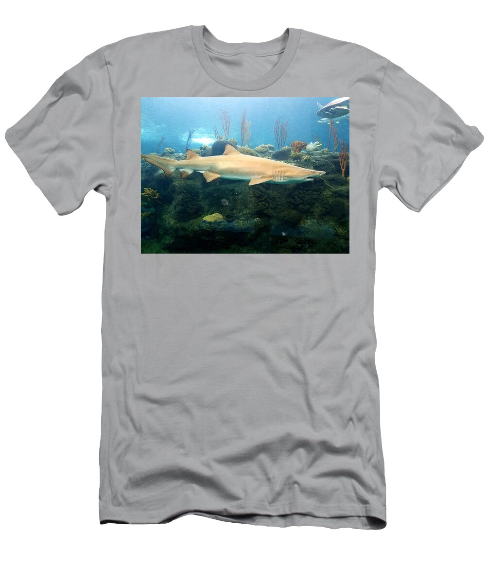 Shark T-Shirt featuring the photograph On The Prowl by Rick Redman