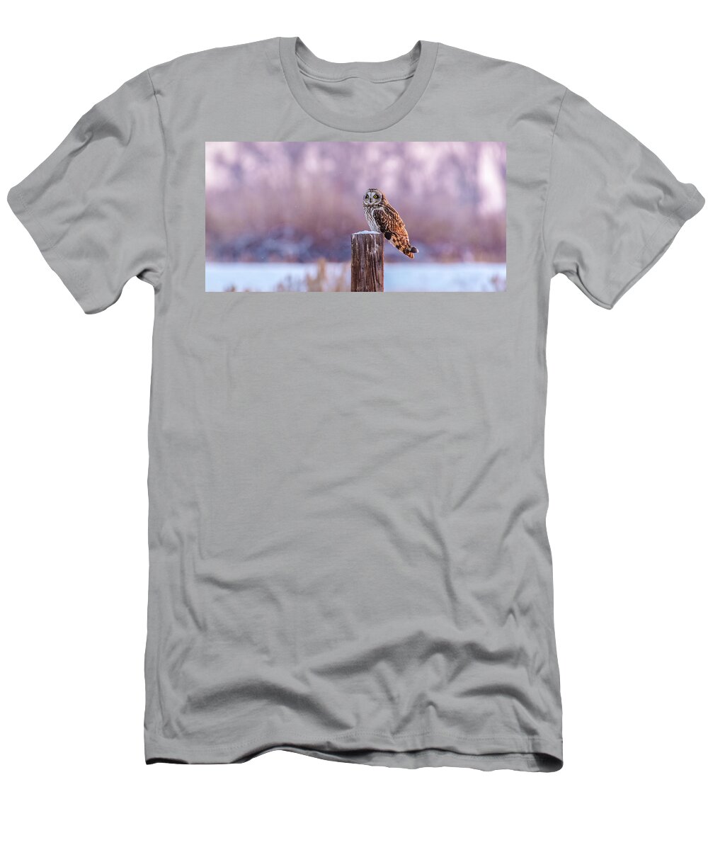 Short-eared Owl T-Shirt featuring the photograph One Shorty Winter In Idaho by Yeates Photography