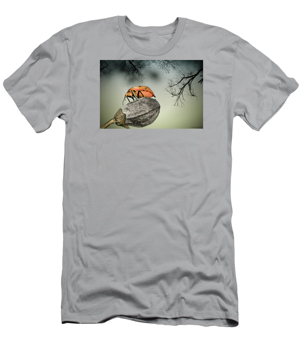 Stink Bug T-Shirt featuring the photograph Orange stink bug 001 by Kevin Chippindall