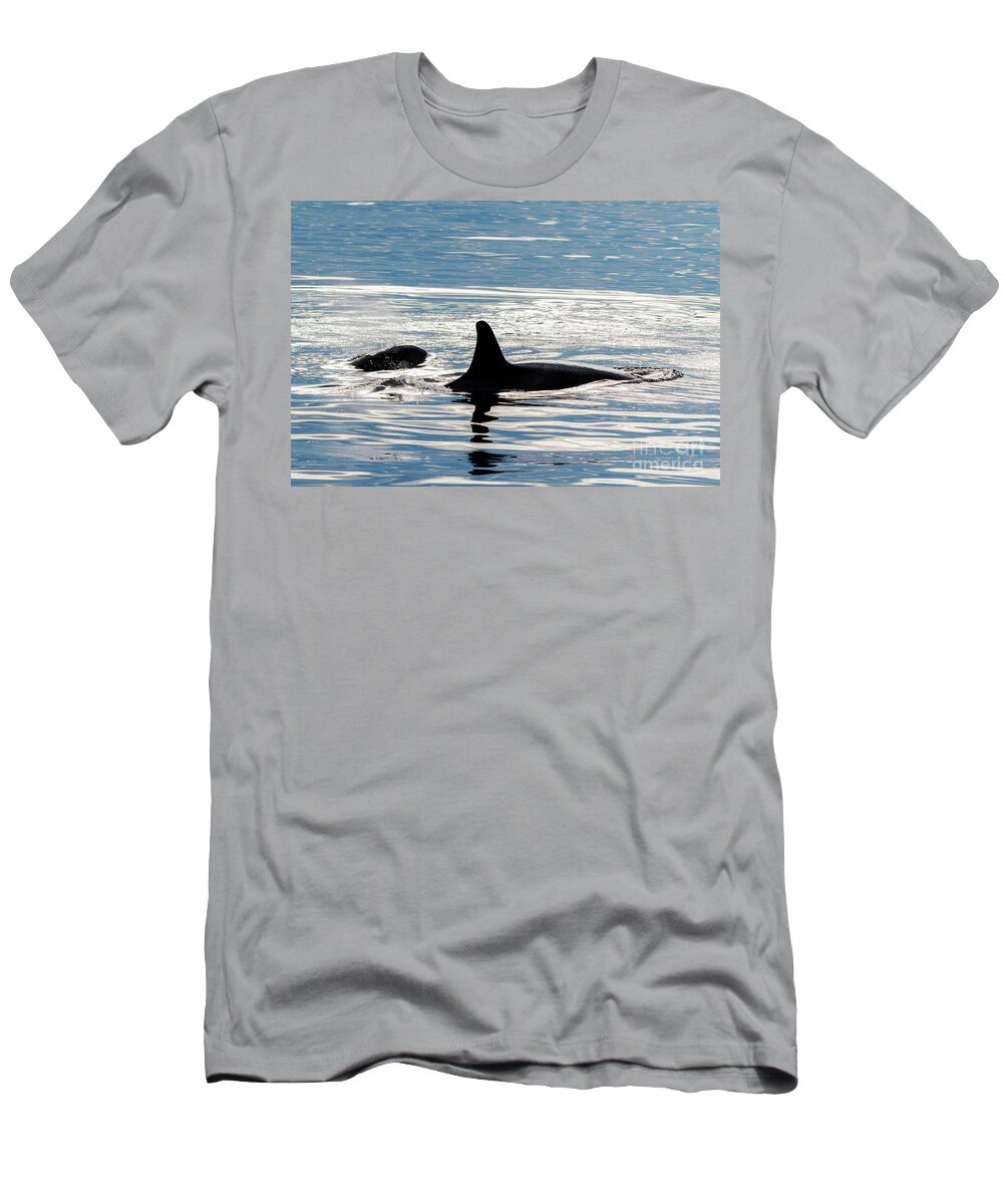 Orca T-Shirt featuring the photograph Orca Pair by Michael Dawson