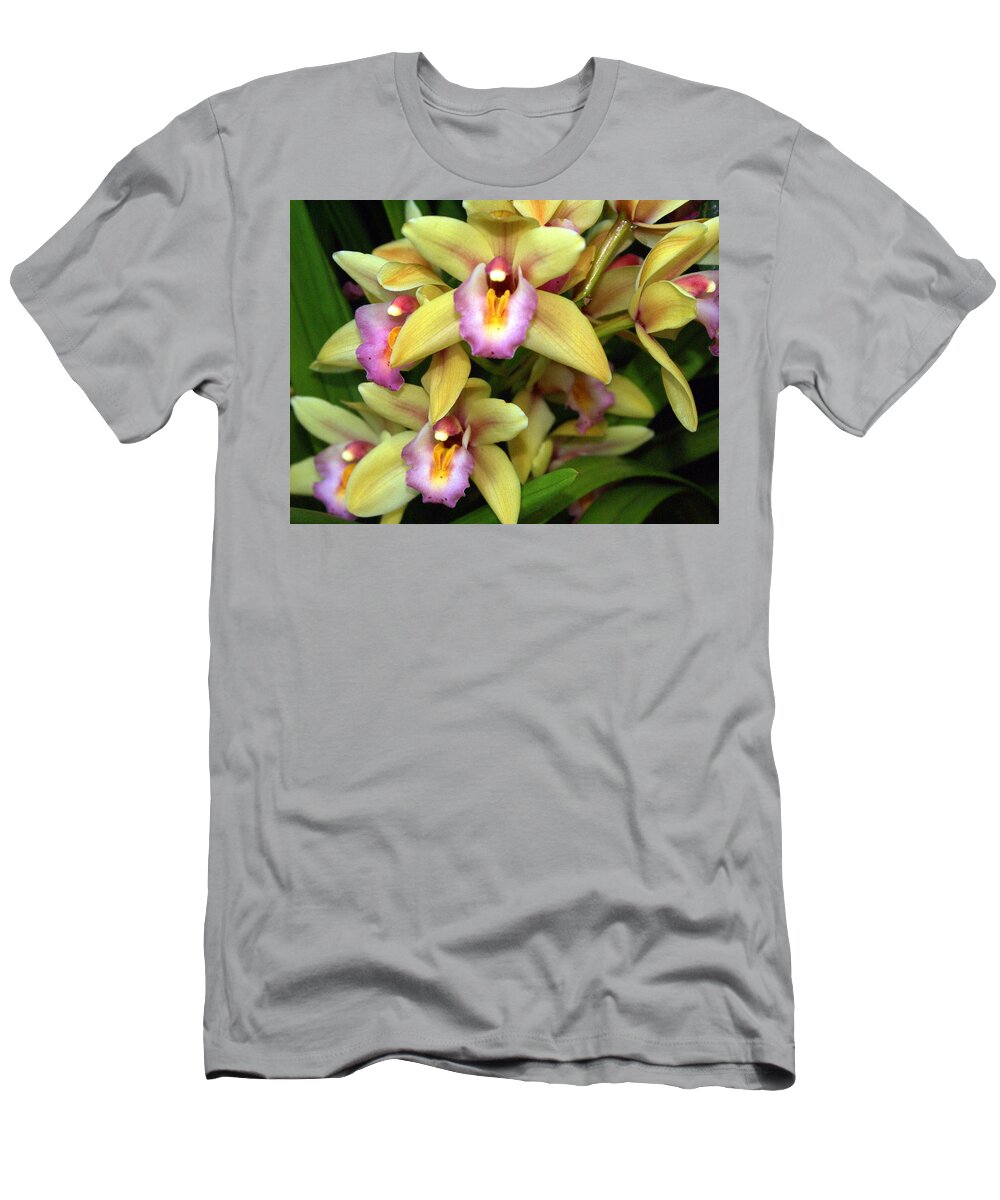 Flower T-Shirt featuring the photograph Orchid 7 by Marty Koch