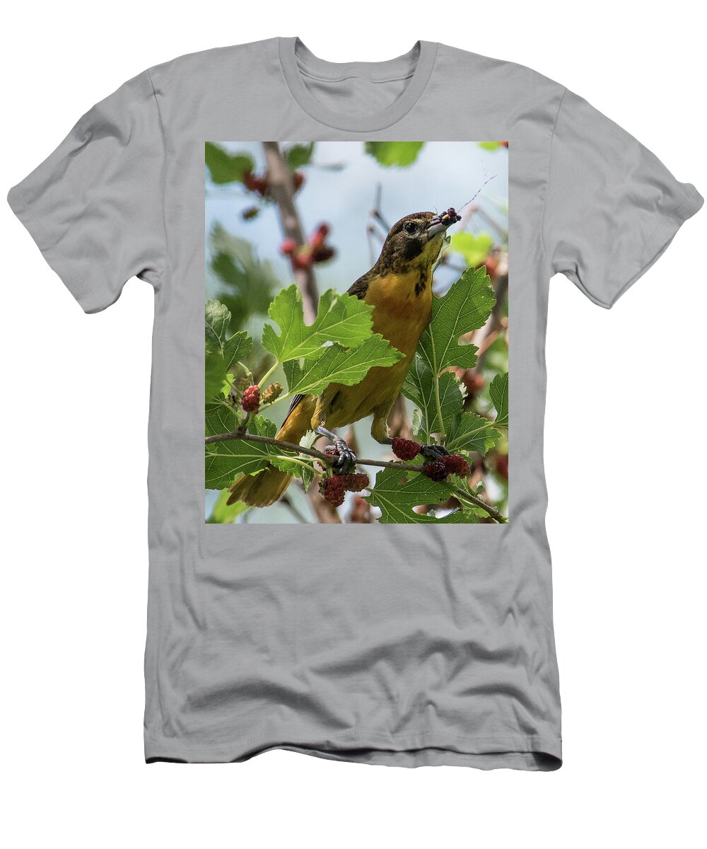 Baltimore T-Shirt featuring the photograph Oriole and Juicy Huckleberry by Michael Hall