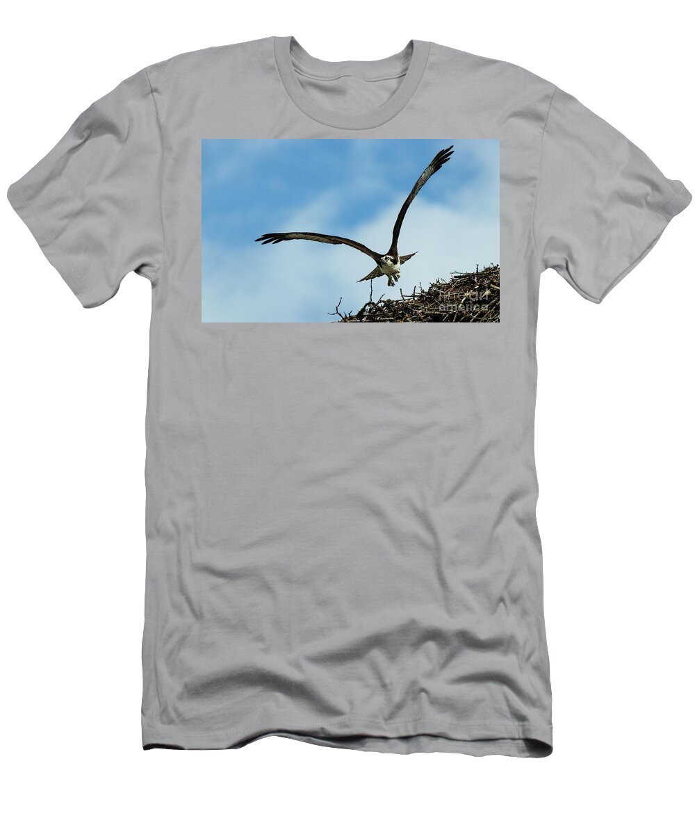Osprey T-Shirt featuring the photograph Osprey In Flight by Bob Christopher