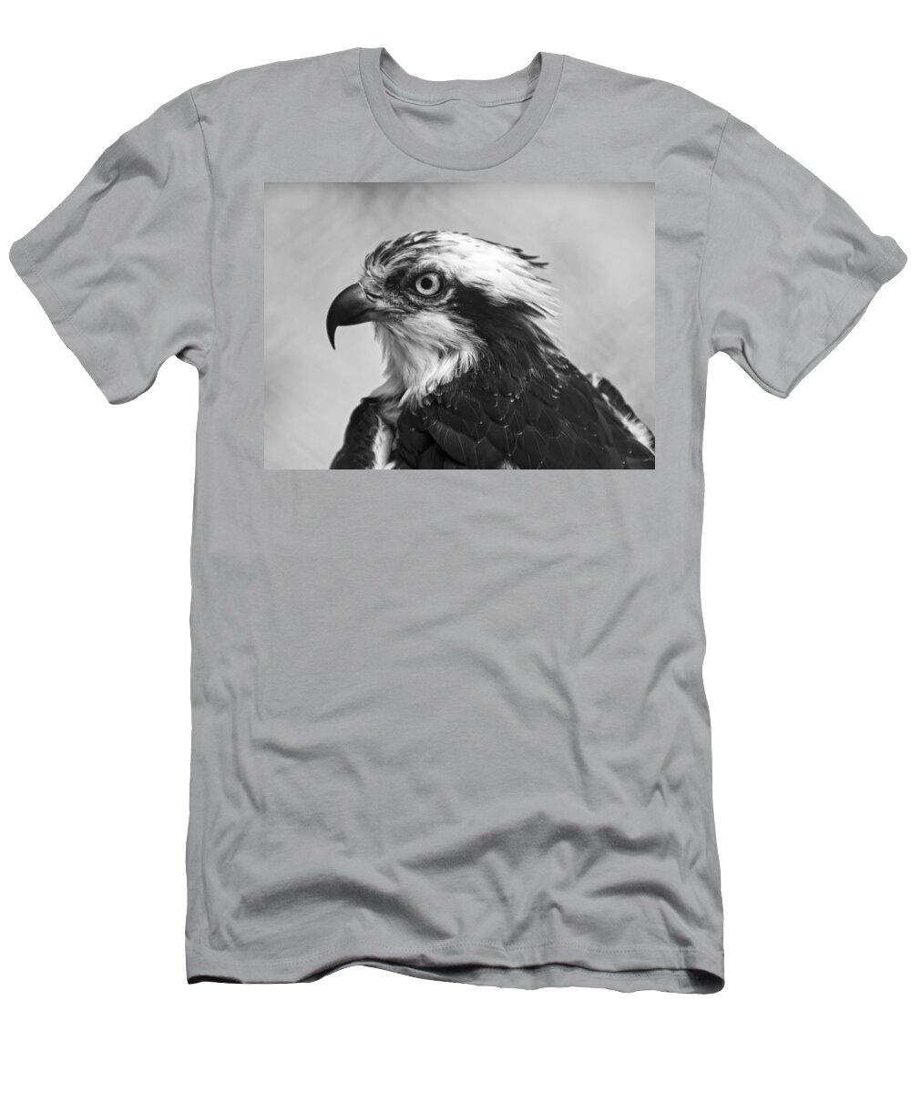 Osprey T-Shirt featuring the photograph Osprey monochrome portrait by Flees Photos