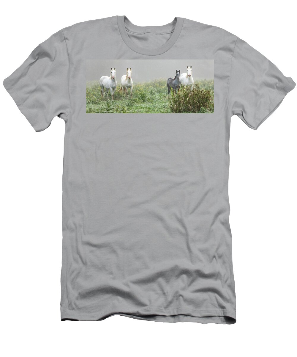 Wild Horses T-Shirt featuring the photograph Out of the Mist, 2 by Holly Ross
