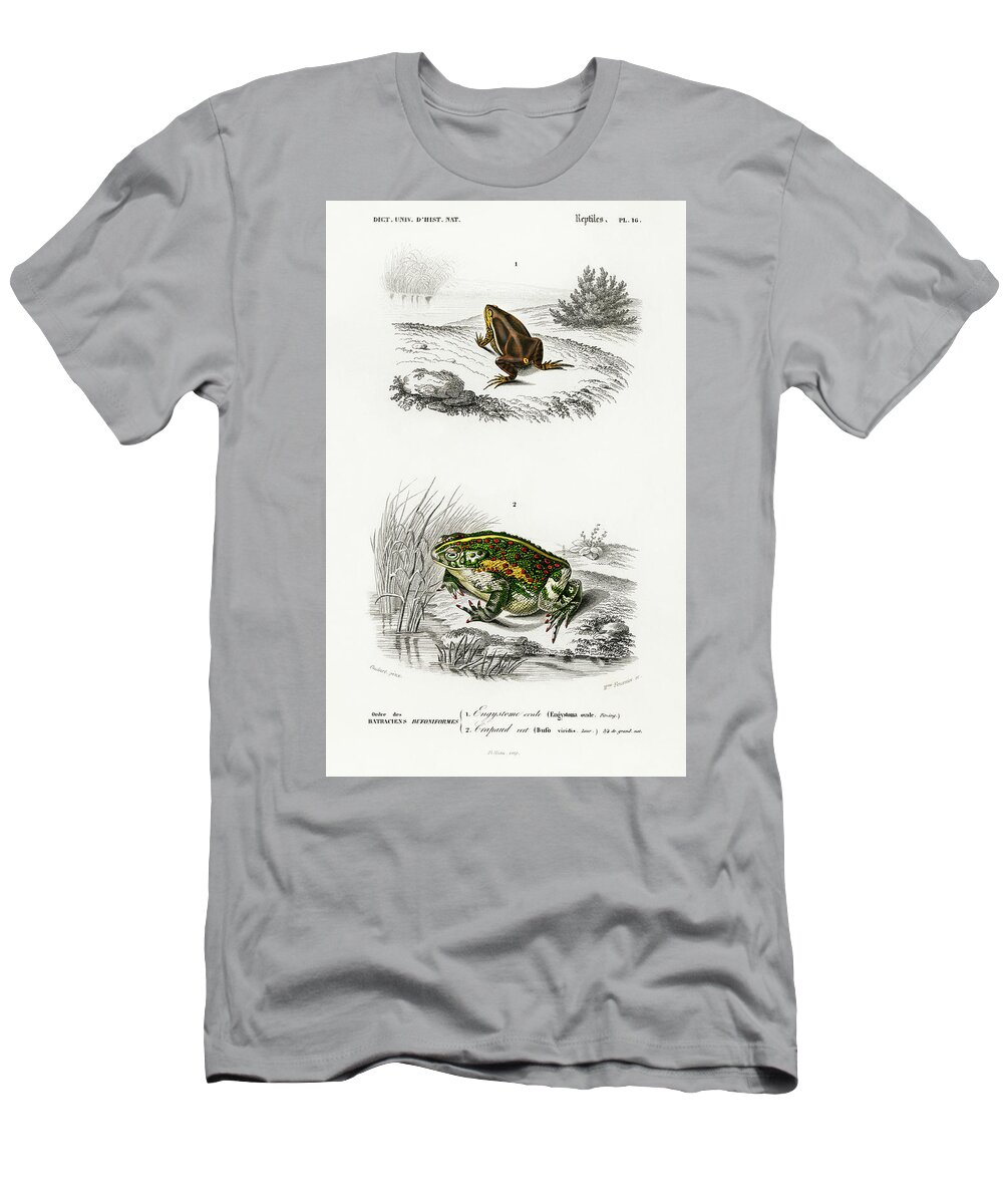 Image T-Shirt featuring the painting Oval frog and Green toad by Vincent Monozlay