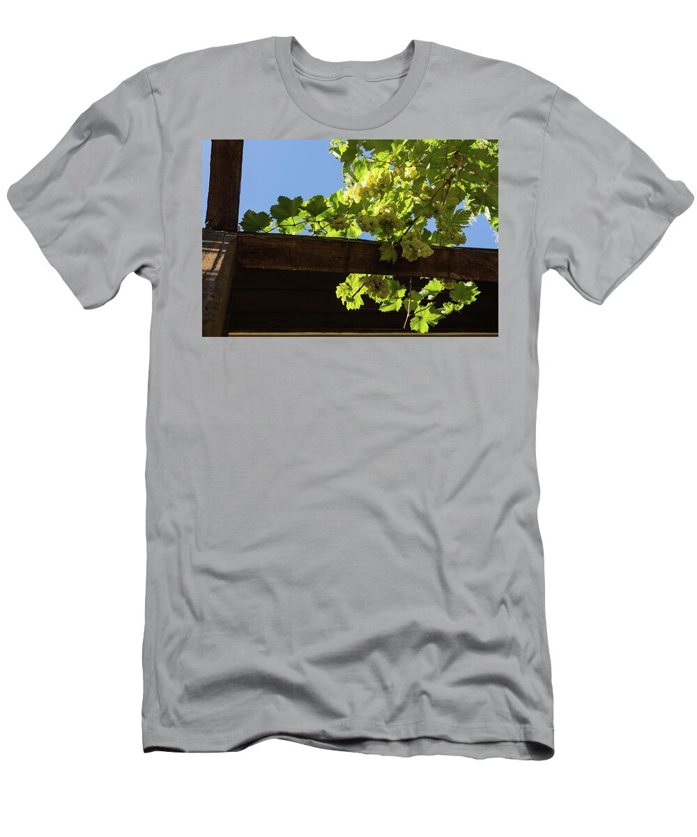 Georgia Mizuleva T-Shirt featuring the photograph Overhead Grape Harvest - Summertime Dreams of Fine Wine by Georgia Mizuleva
