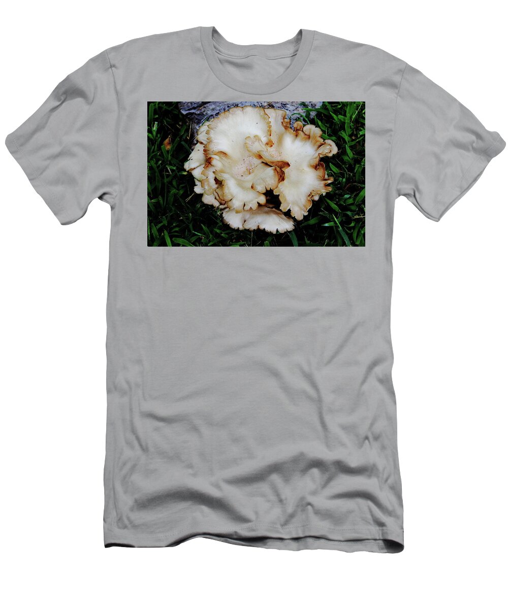  Oyster Mushroom T-Shirt featuring the photograph Oyster Mushroom by Allen Nice-Webb