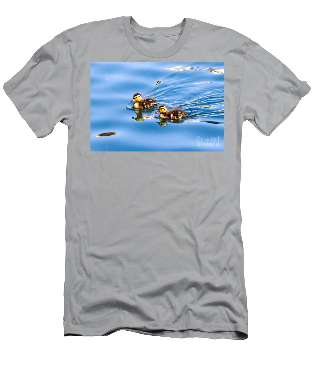Birds T-Shirt featuring the photograph Duckling Duo by Kate Brown