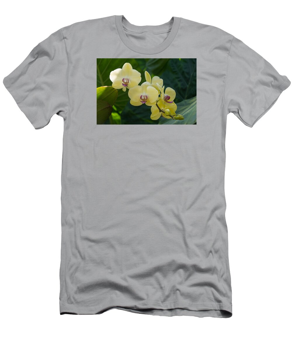 Georgia Mizuleva T-Shirt featuring the photograph Pale Yellow Orchids in Lush Jungle Green by Georgia Mizuleva