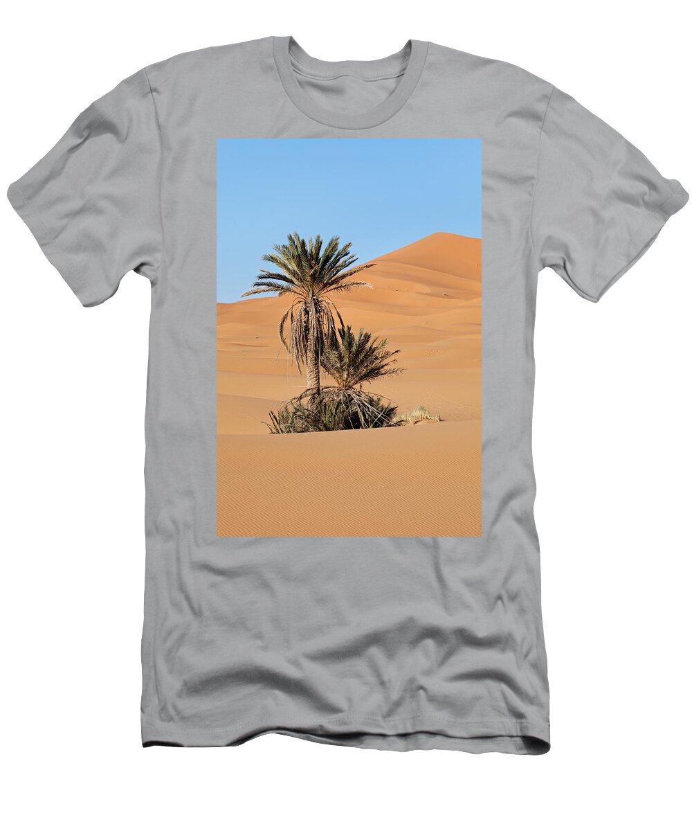 Palms T-Shirt featuring the photograph Palms and Dunes by Aivar Mikko
