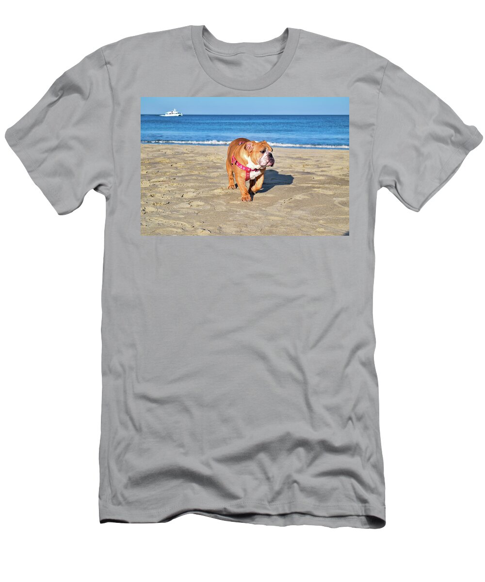 Ocean T-Shirt featuring the photograph Peanut on the Beach by Nicole Lloyd