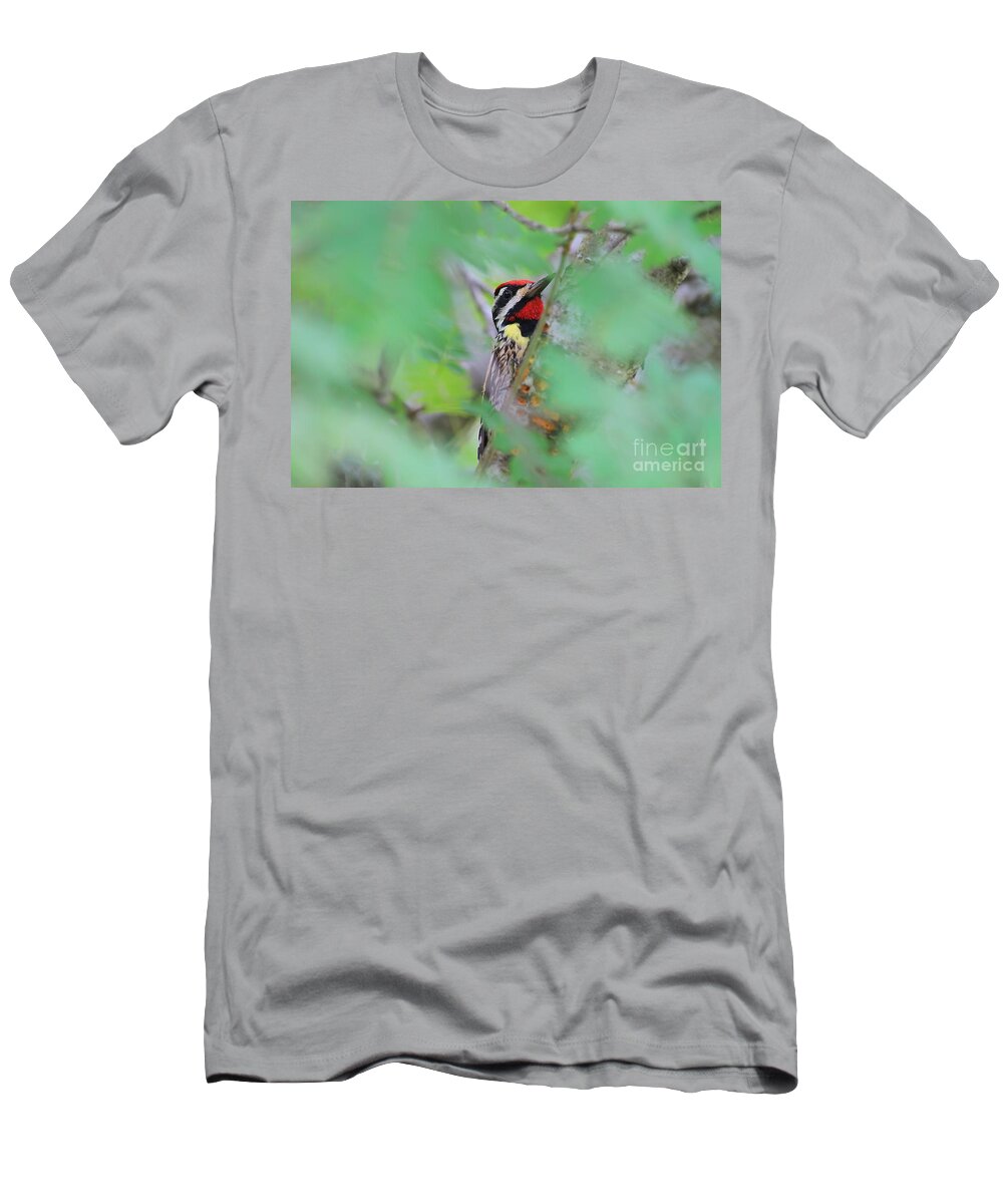 Bird T-Shirt featuring the photograph Peekaboo by Teresa Zieba