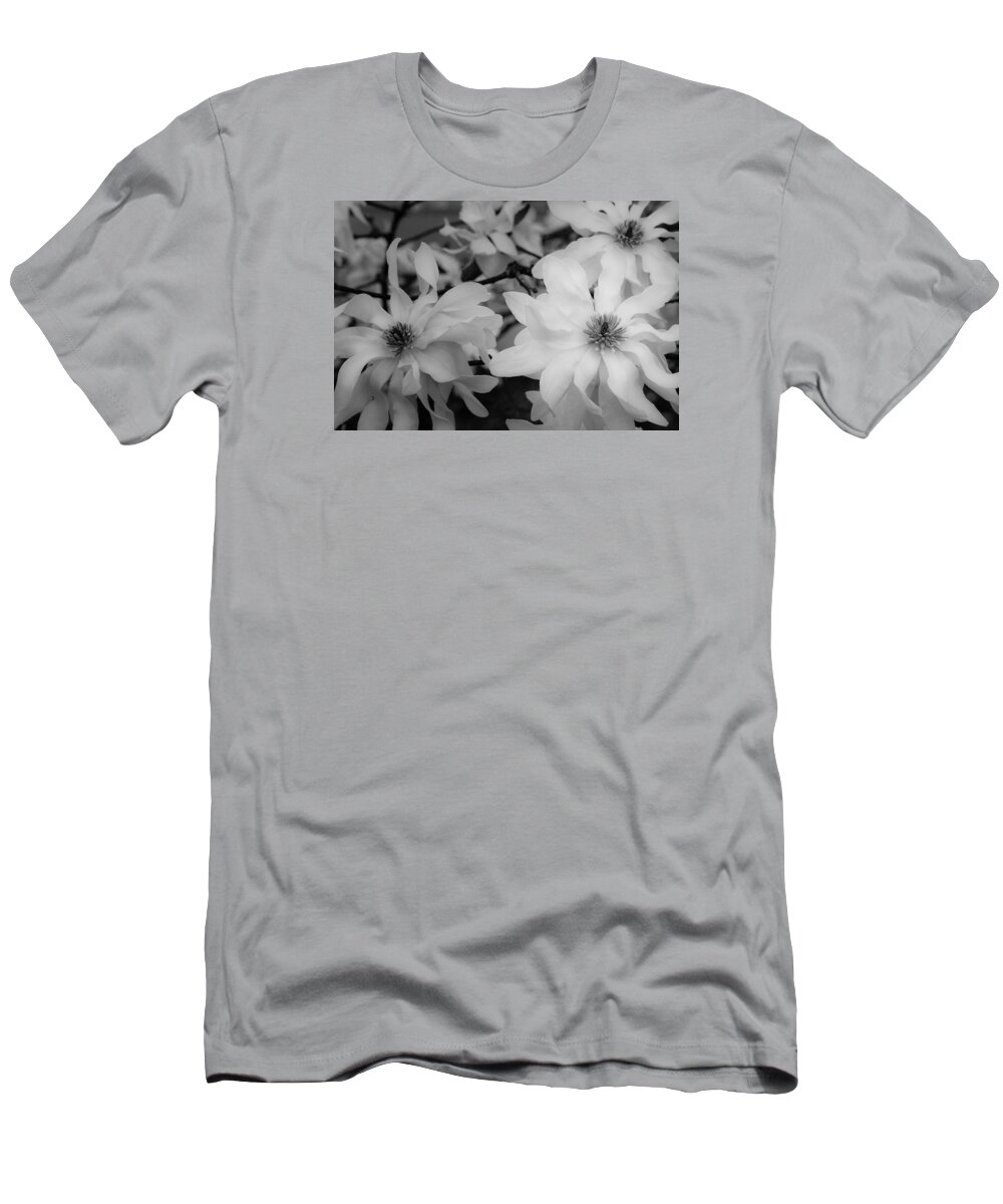 Morton Arboretum T-Shirt featuring the photograph Pick Me, Pick Me by Joni Eskridge
