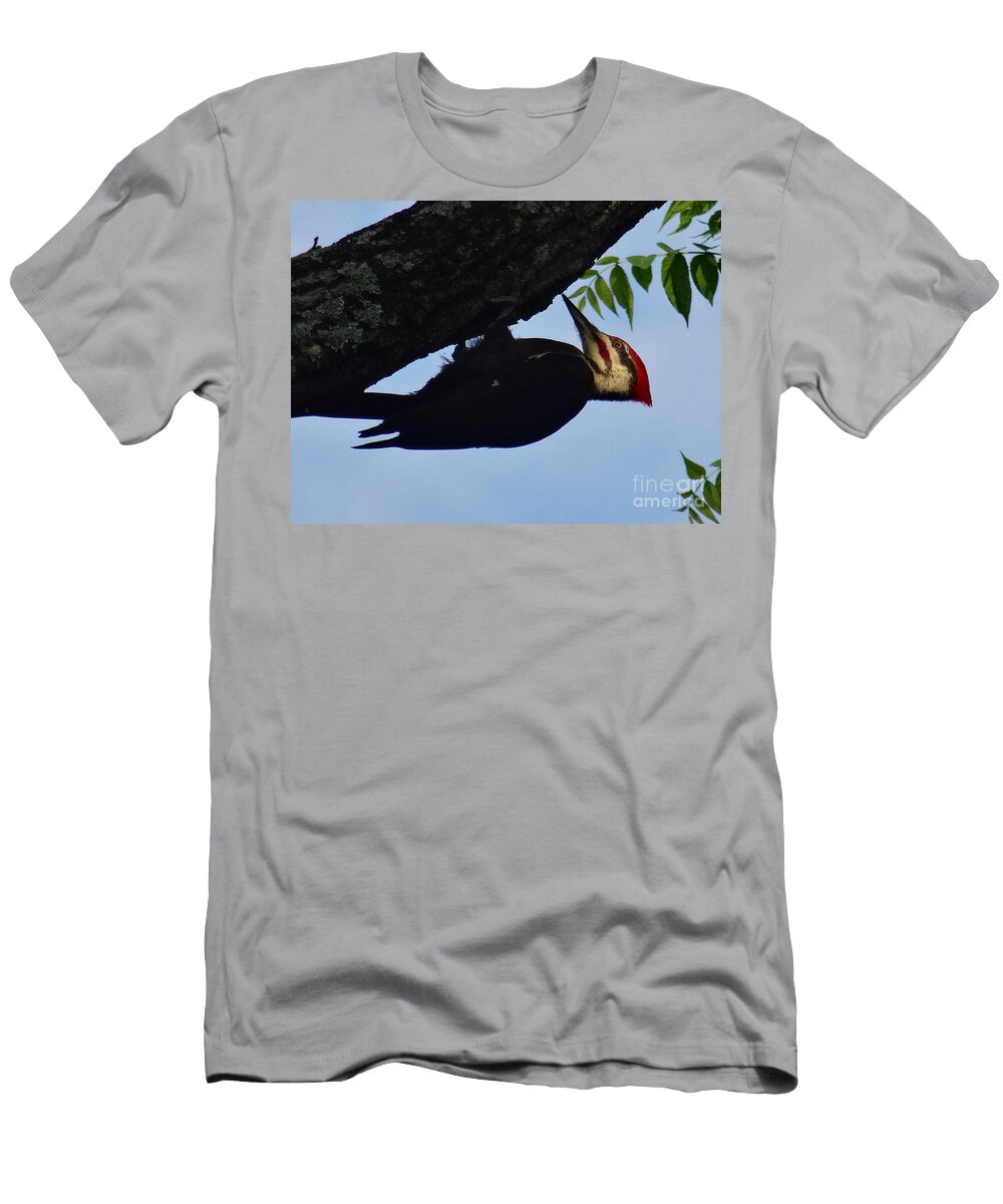 Birds T-Shirt featuring the photograph Pileated Woodpecker by Christopher Plummer