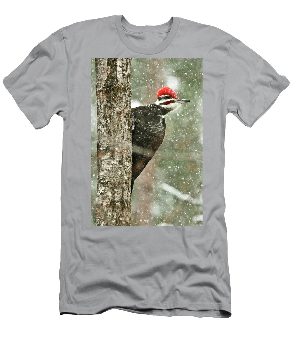 Woodpecker T-Shirt featuring the photograph Pileated Woodpecker on a Snowy Day by Michael Peychich