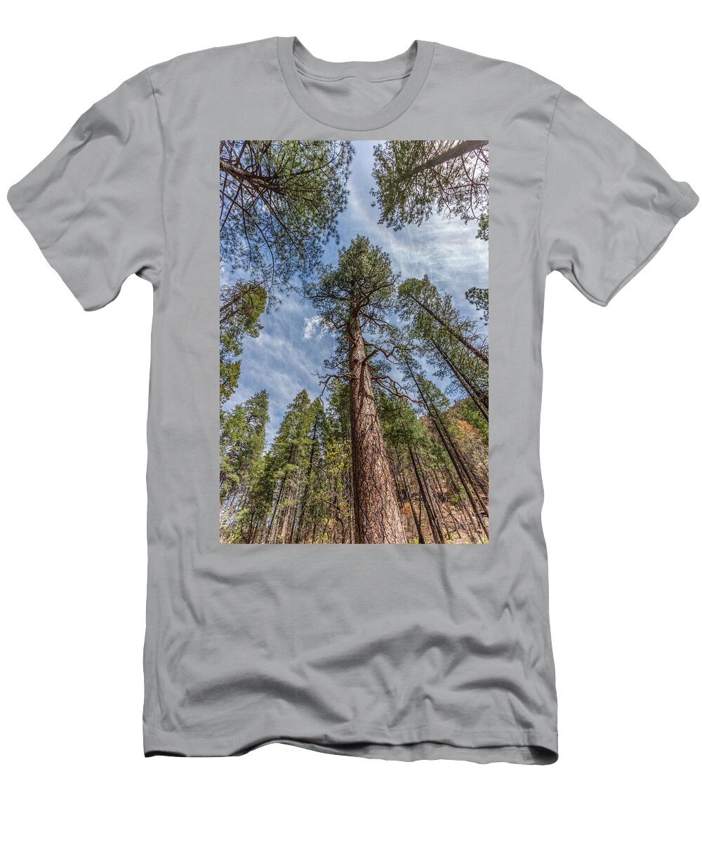 Pine Trees T-Shirt featuring the photograph Pine Cathedral on the West Fork by Lon Dittrick