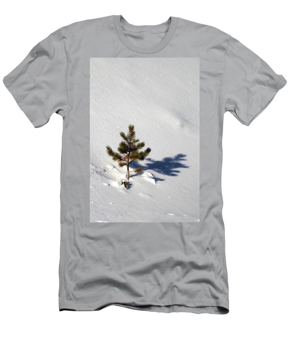 Pine T-Shirt featuring the photograph Pine Shadow by Shane Bechler