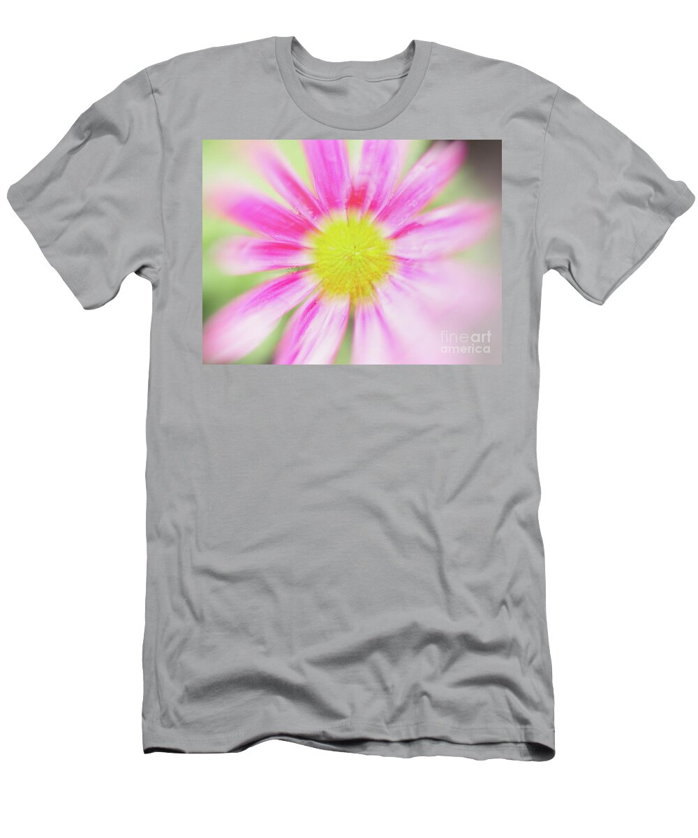 Pink T-Shirt featuring the photograph Pink Aster Flower with raindrops abstract by Nick Biemans