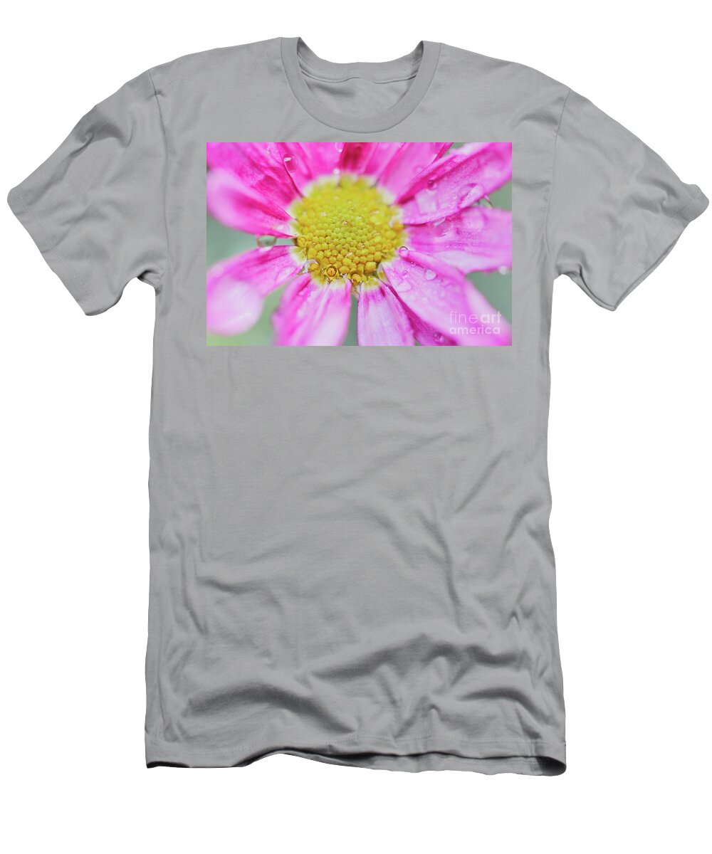 Pink T-Shirt featuring the photograph Pink Aster Flower with raindrops by Nick Biemans
