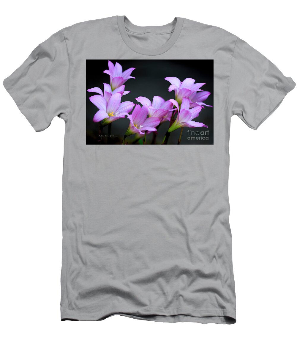 Zephyranthes T-Shirt featuring the photograph Pink Fairy Lilies by Richard J Thompson