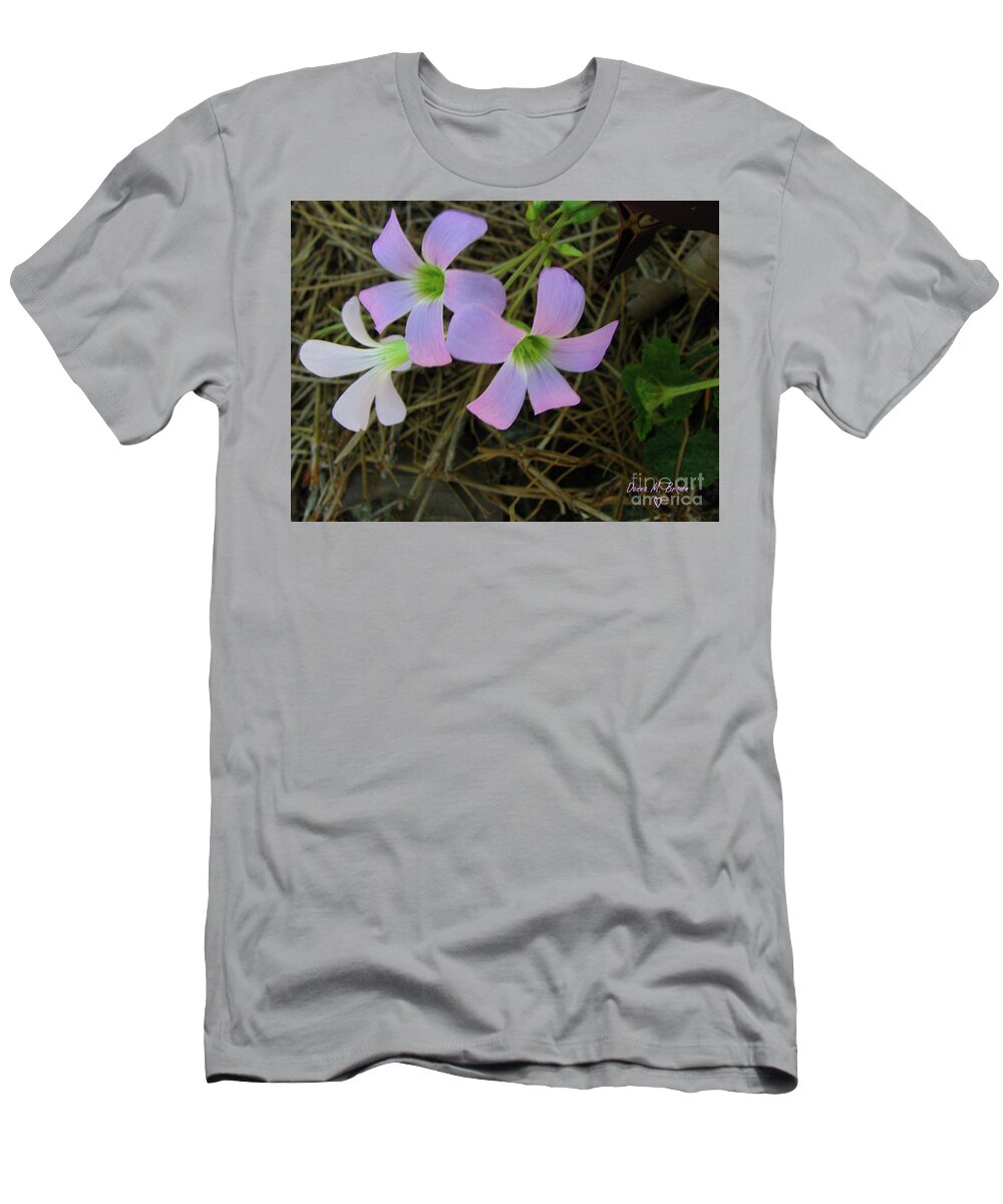Flowers T-Shirt featuring the photograph Pink Glow by Donna Brown
