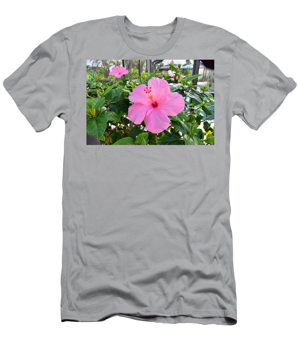 Florida T-Shirt featuring the photograph Pink Twins by Florene Welebny