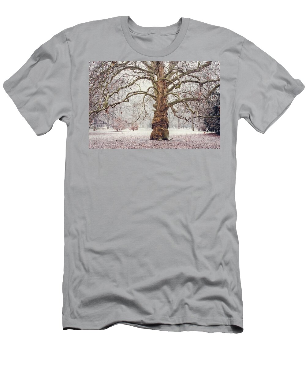 Jenny Rainbow Fine Art Photography T-Shirt featuring the photograph Platan Tree in Early Winter by Jenny Rainbow