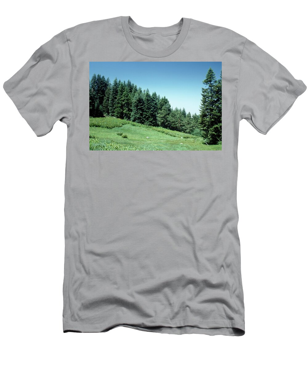 Poison Meadow T-Shirt featuring the photograph Poison Meadow by Soli Deo Gloria Wilderness And Wildlife Photography