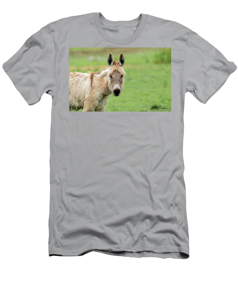 Poitou Donkey T-Shirt featuring the photograph Poitou Donkey by Sam Rino