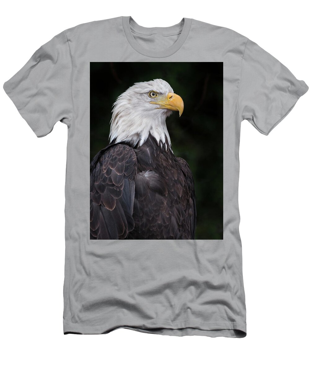 Juneau T-Shirt featuring the photograph Portrait of Juneau 4 by Greg Nyquist