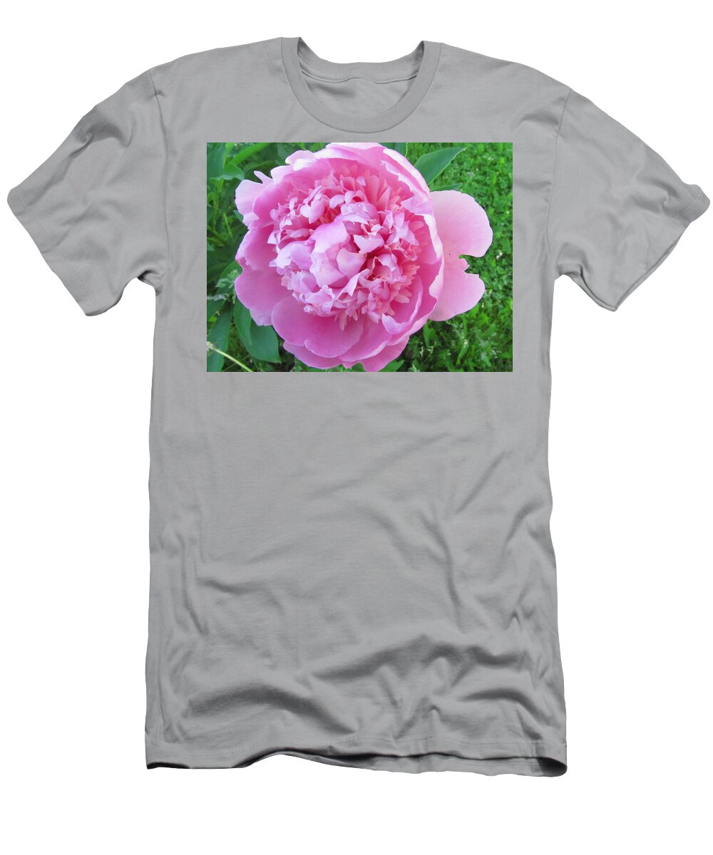 Peony T-Shirt featuring the photograph Portrait of Pink by Robert Nacke