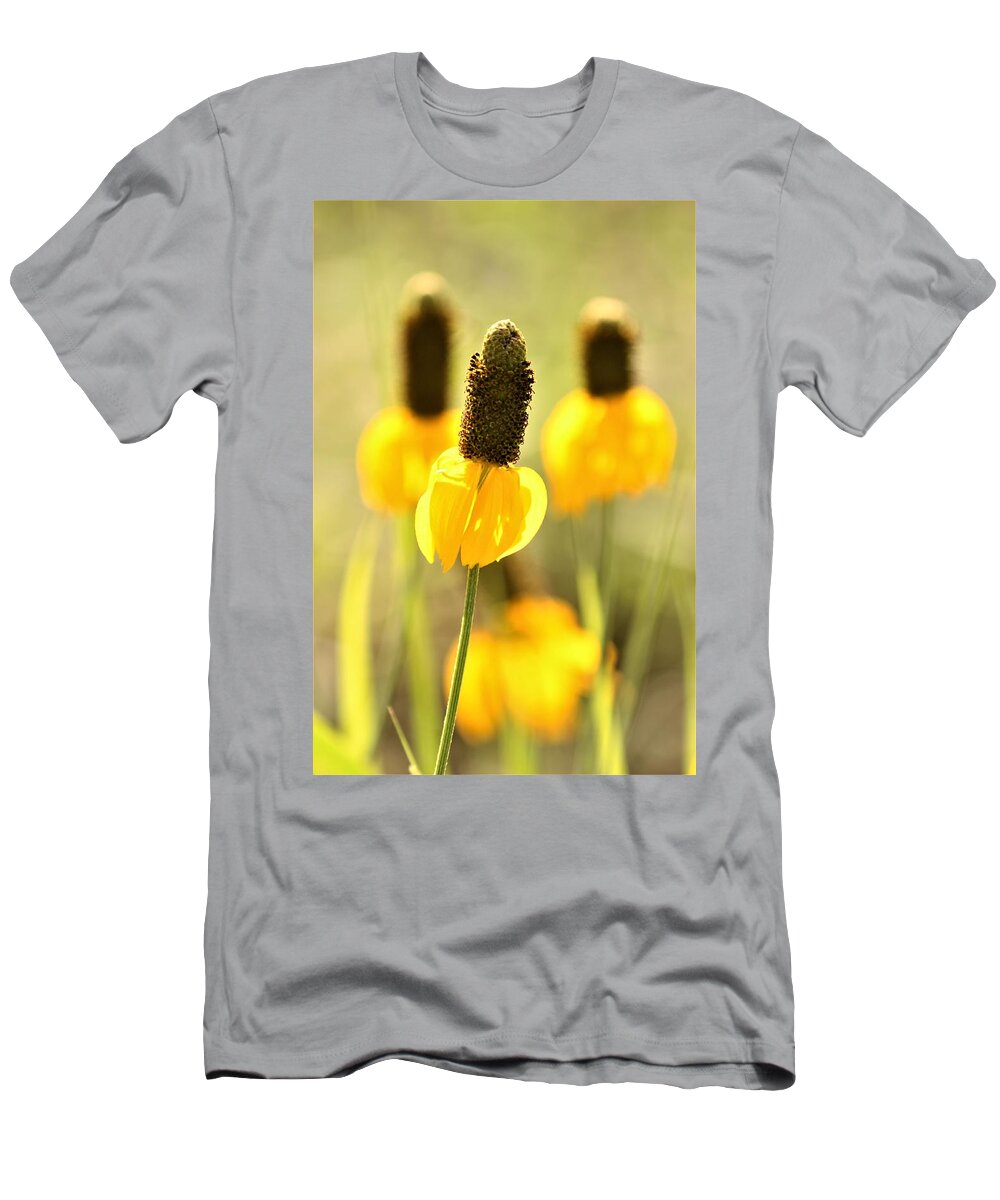 Nature T-Shirt featuring the photograph Prairie Coneflower in Morning Light by Sheila Brown