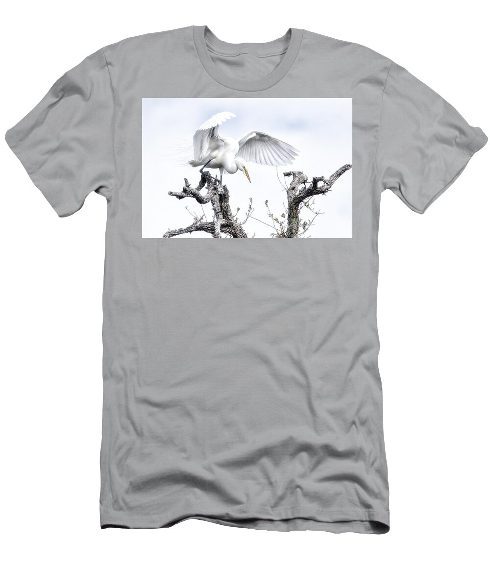 Crystal Yingling T-Shirt featuring the photograph Pre-flight by Ghostwinds Photography