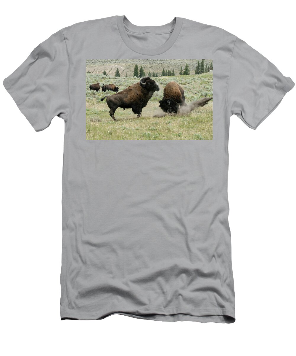 Bison T-Shirt featuring the photograph Preparing for Battle by Ronnie And Frances Howard