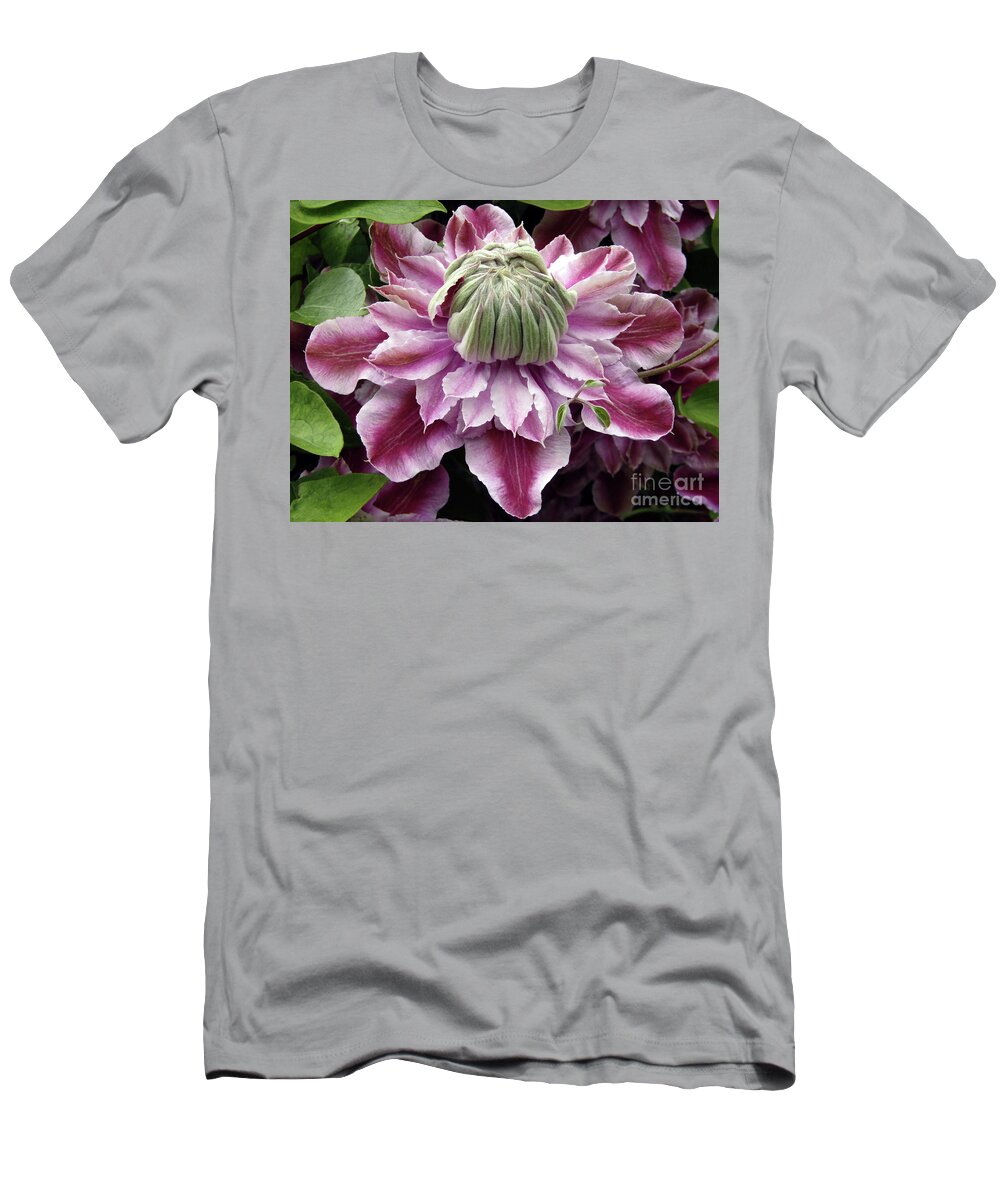 Clematis T-Shirt featuring the photograph Pretty Josephine 9 by Kim Tran